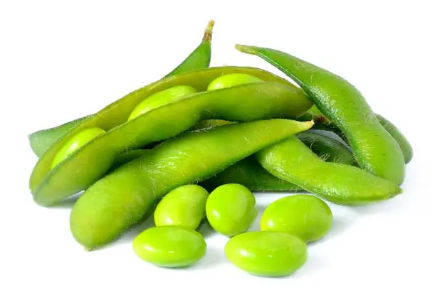 This is edamame—it's boiled immature soybeans in the pod!